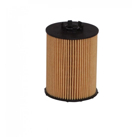 FILTRE YAG BMW E65 740i - 750i - 760i (2005-2008) FILTRE YAG BMW E65 740i - 750i - 760i (2005-2008)